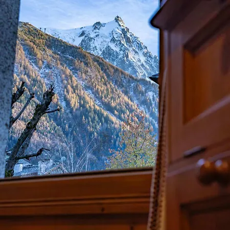 Apartment Alpine Garden - Truly Hidden Gem With Sunny Garden In Town Center *
